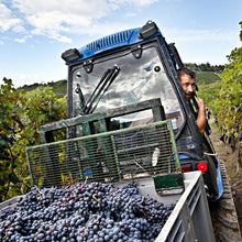 Load image into Gallery viewer, 2019 Cottà, Barbaresco DOCG