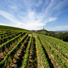 Load image into Gallery viewer, 2019 Ovello Vigna Loreto, Barbaresco DOCG